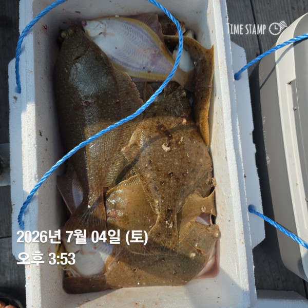 공현진낚시마트(돌핀호)_사진_20260704_9.jpg