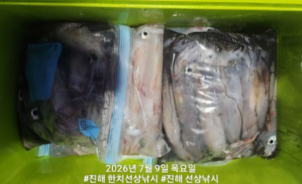 신아라호 한치 칼치 오징어_사진_20260709_5.jpg