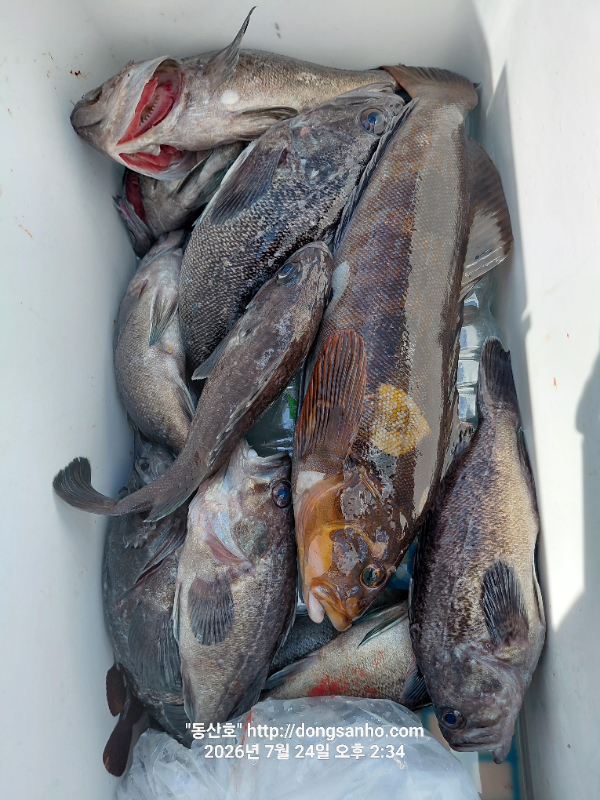 20260724_143459.jpg