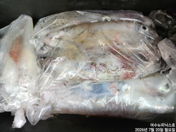 7월20일한치 (4).jpg