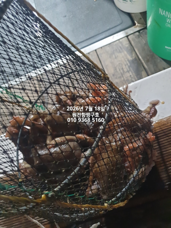KakaoTalk_20260721_092917966_06.jpg