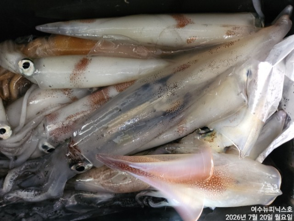 7월20일한치 (3).jpg
