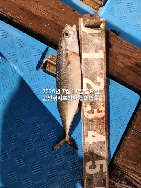 KakaoTalk_20260717_213516008_05.jpg