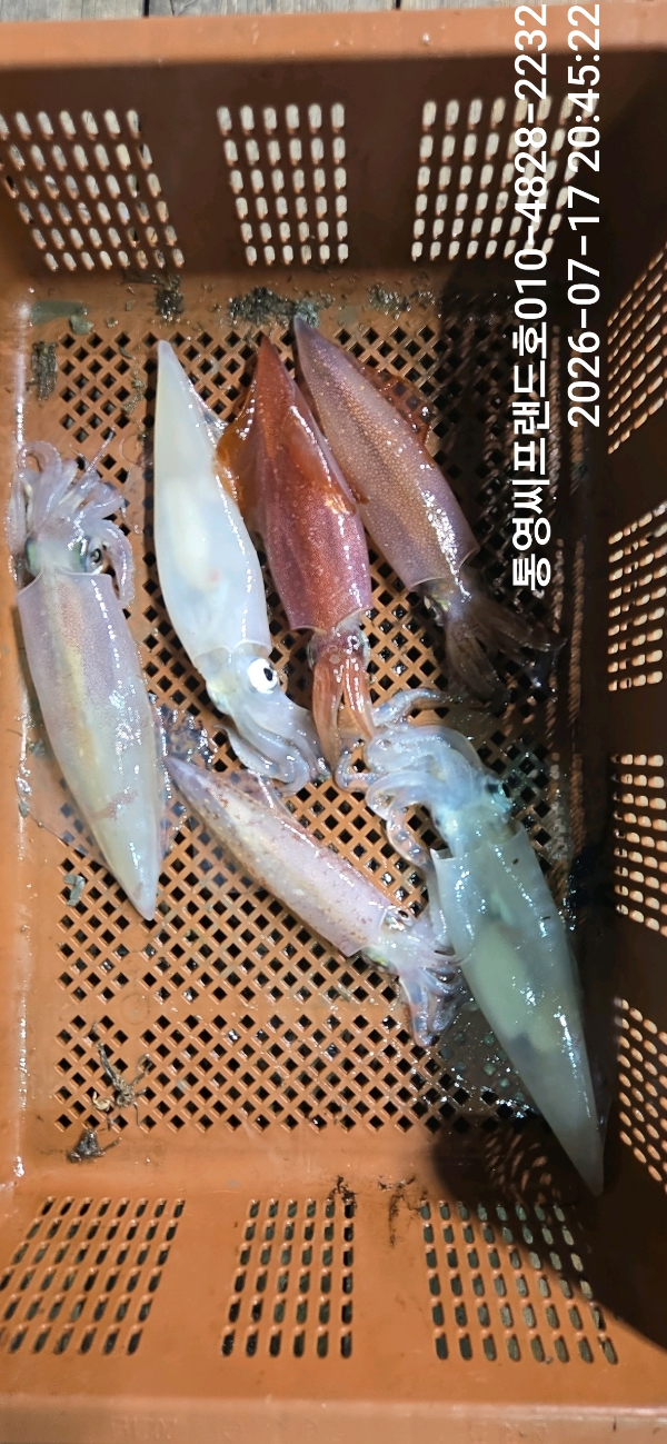 Resized_DateCamera0717204522.jpeg
