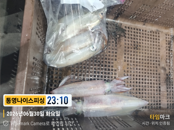 2026-06-30 23.10.07__(제목-통영나이스피싱).jpg