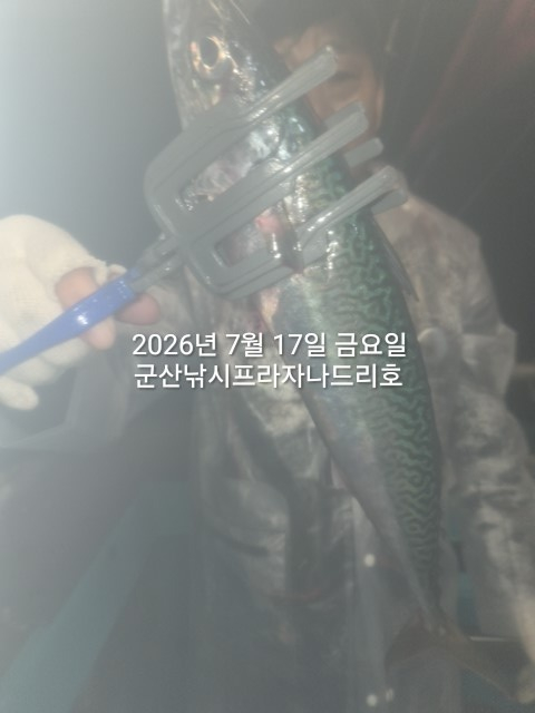 KakaoTalk_20260717_215026611_11.jpg