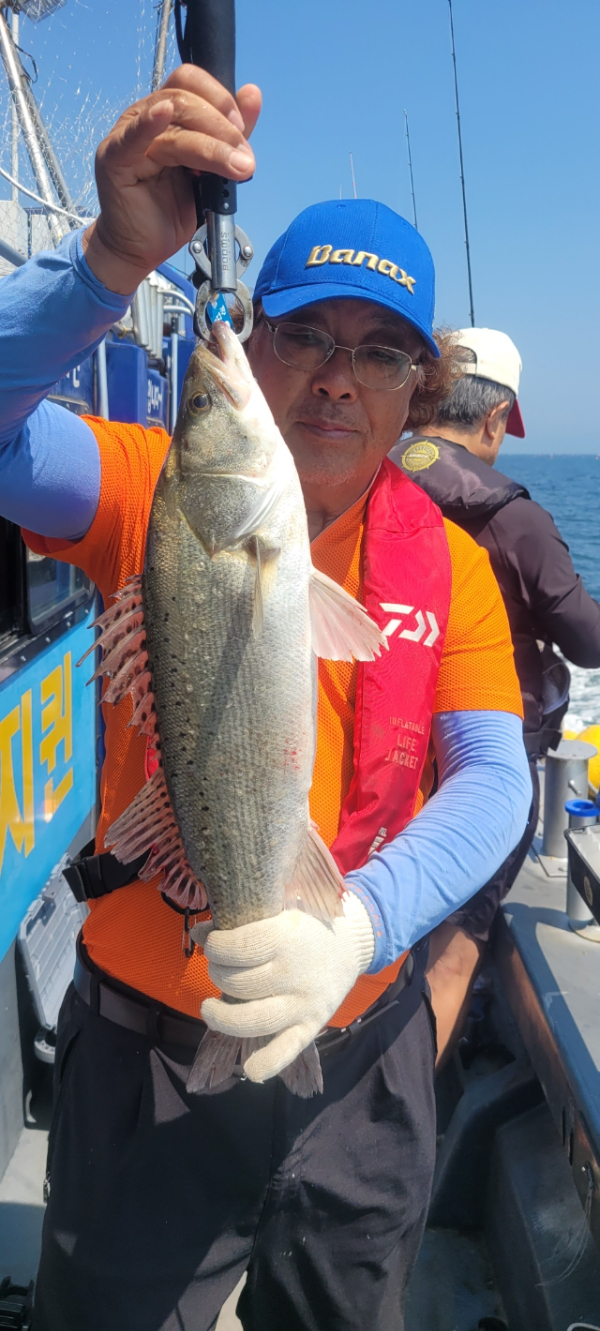 예지퀸호 농어외수질&어초낚시 경기인천권_사진_20260629_5.jpg