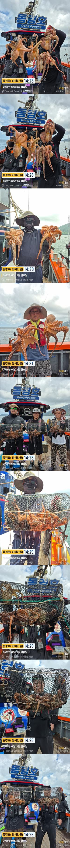 돌문어 26-7-20-2.jpg