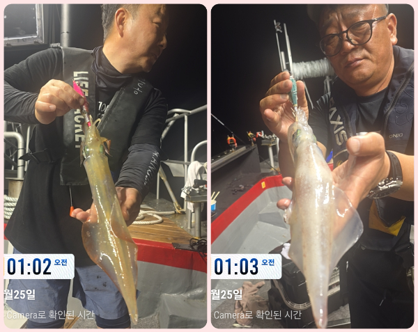 KakaoTalk_20260725_063337855_17-tile.jpg