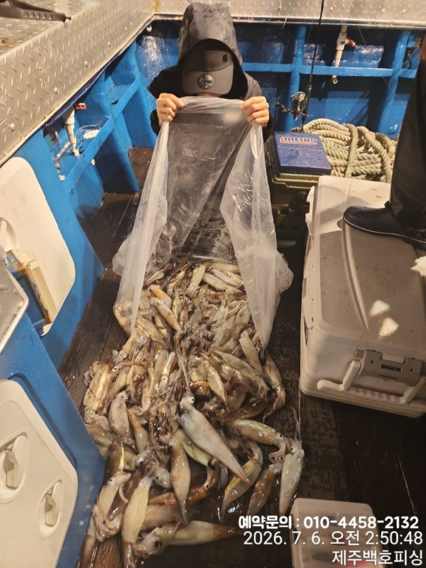 제주왔어호_사진_20260706_2.jpg