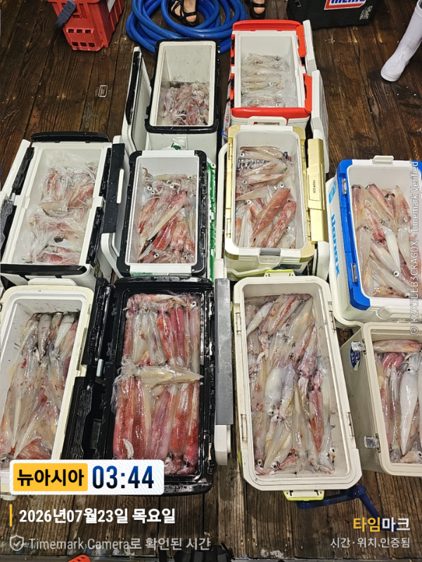KakaoTalk_20260723_051554602_12.jpg