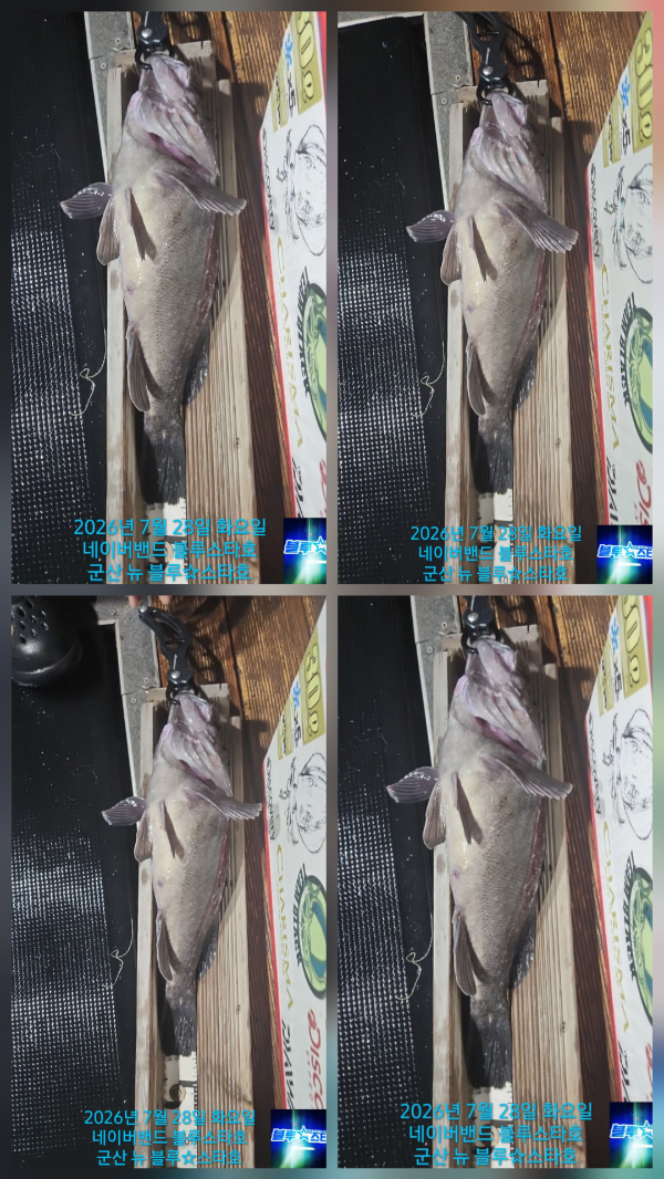 1000051519.jpg