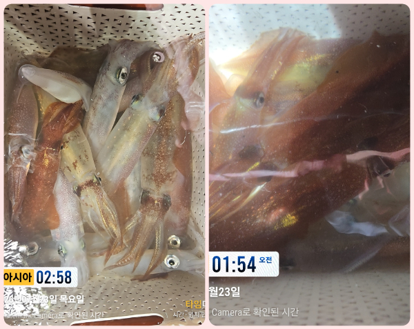 KakaoTalk_20260723_051554602_03-tile.jpg