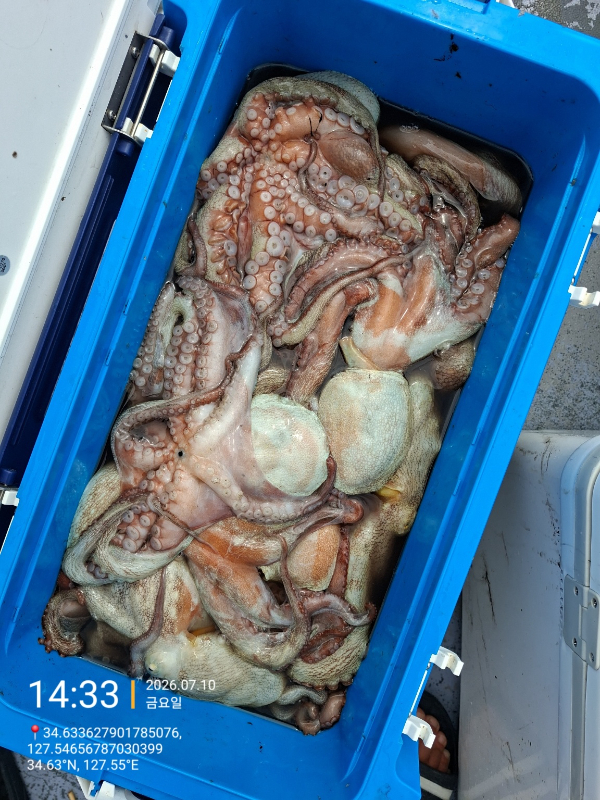 KakaoTalk_20260710_190751231_03.jpg