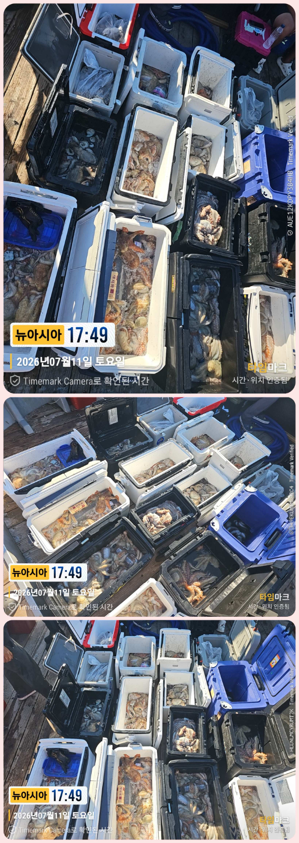 KakaoTalk_20260711_191316896_05-down.jpg