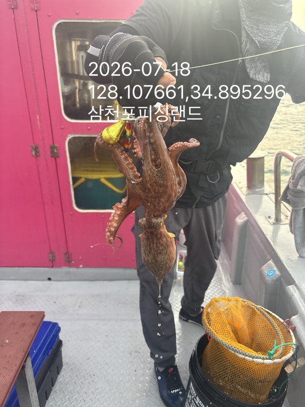 IMG_5725.jpeg