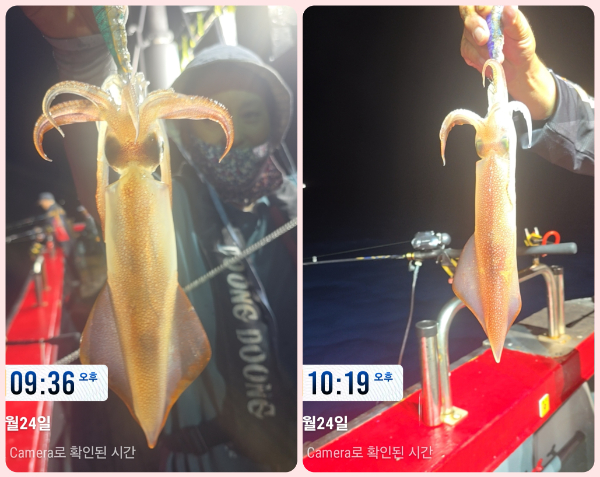 KakaoTalk_20260725_063337855_06-tile.jpg