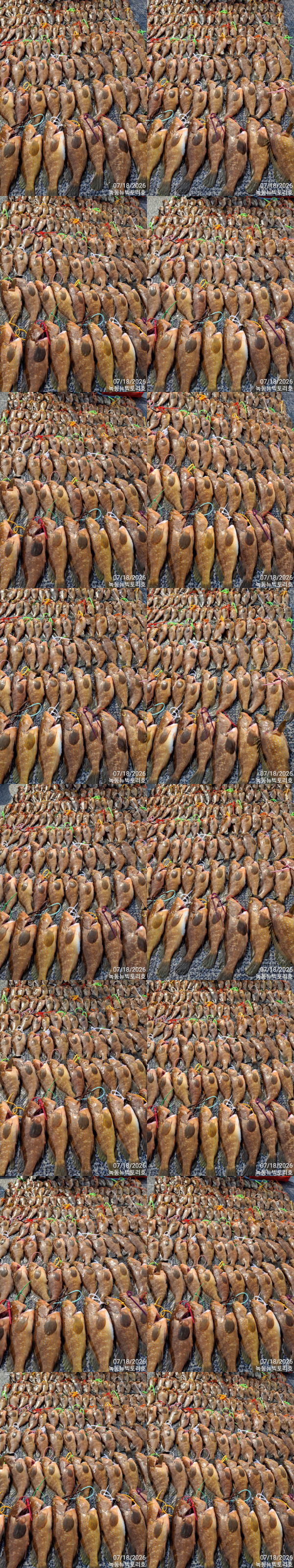 TimePhoto_20260718_154649-tile.jpg