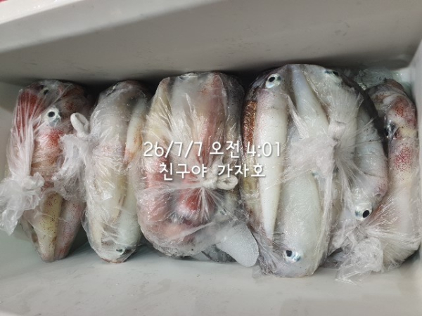 1000061190.jpg