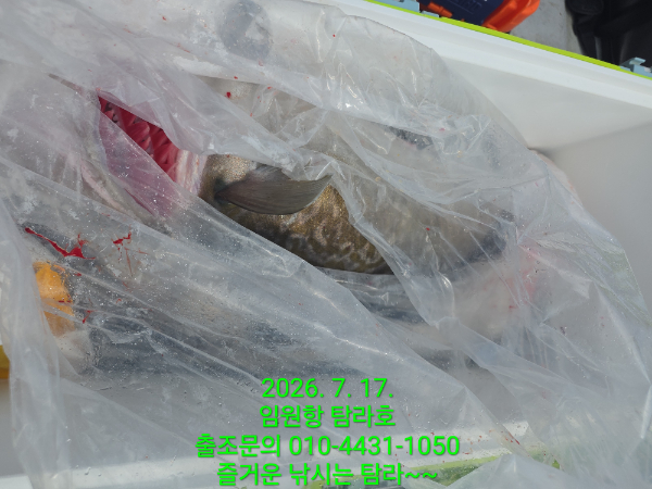 32906.jpg
