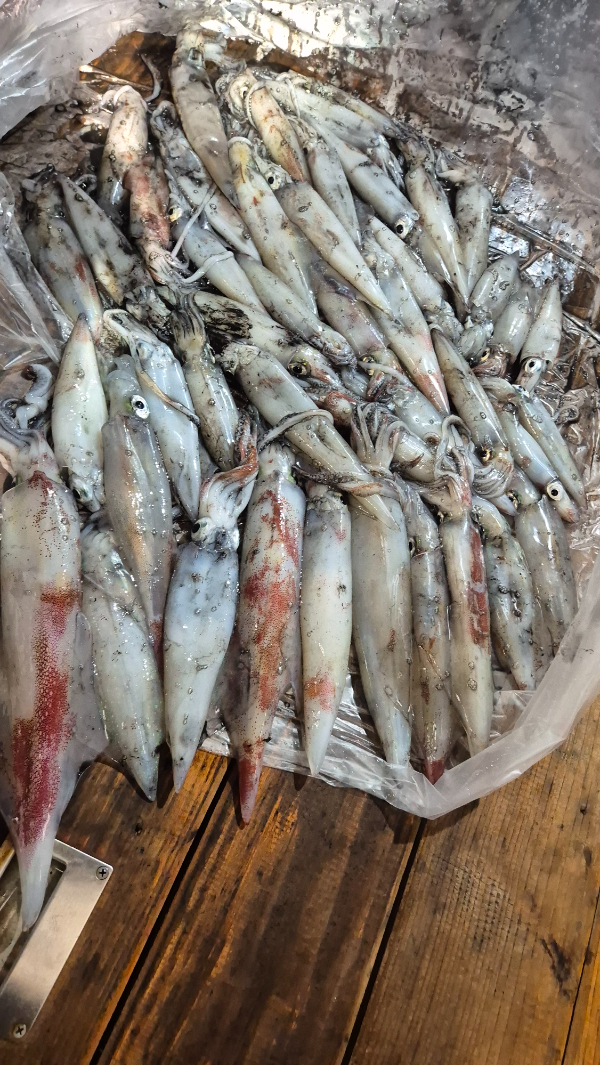 20260722_034333.jpg