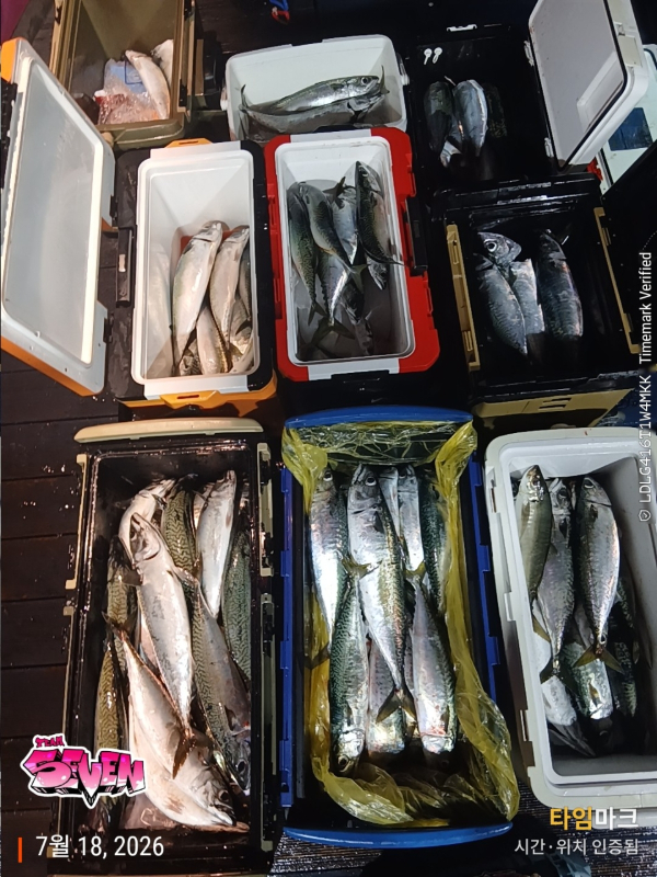 나만의밴드♥_사진_20260718_1.jpeg