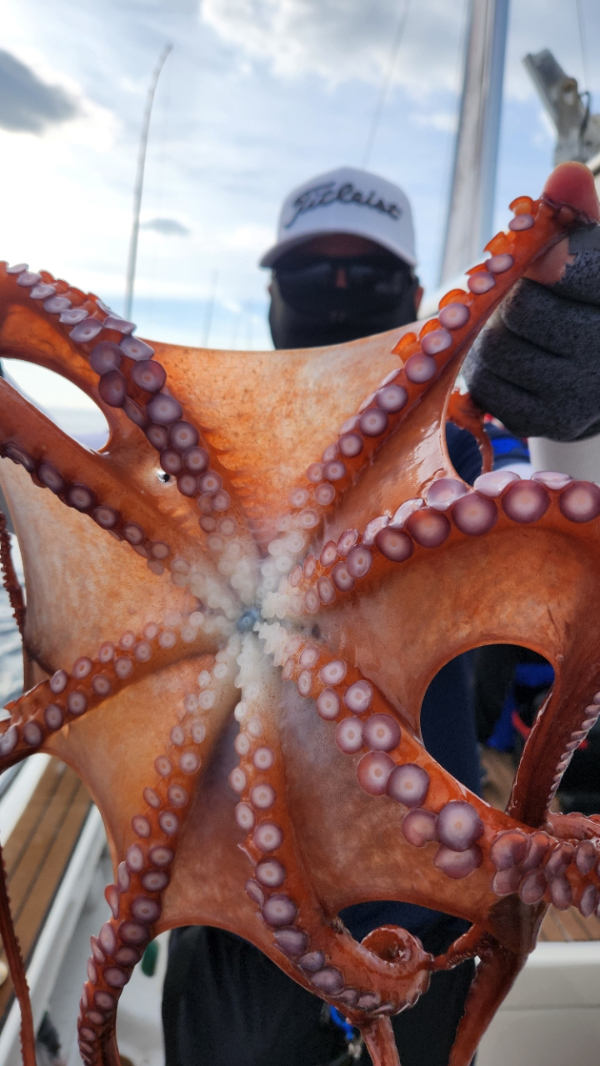 A028567E-61D4-448D-8AB9-11E692528D28.jpeg