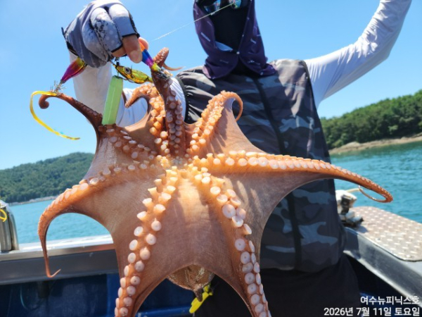 7월11일문어 (58).jpg