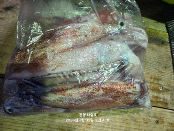 KakaoTalk_20260705_065358279_17.jpg
