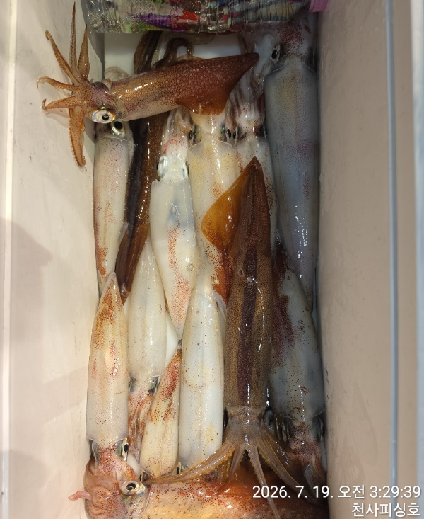 1004피싱_사진_20260719_12.jpg