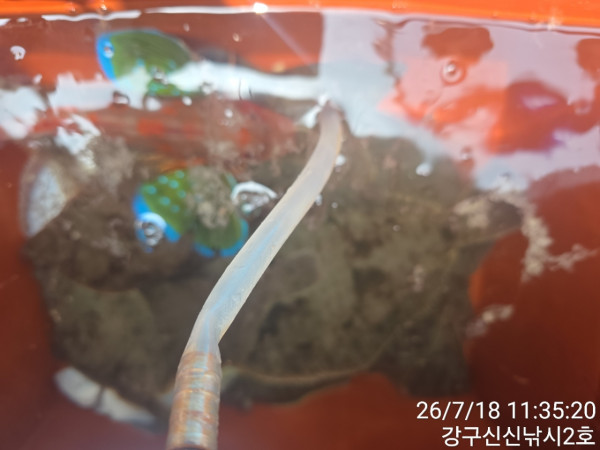 신신낚시 강구점 신신호_사진_20260718_17.jpg
