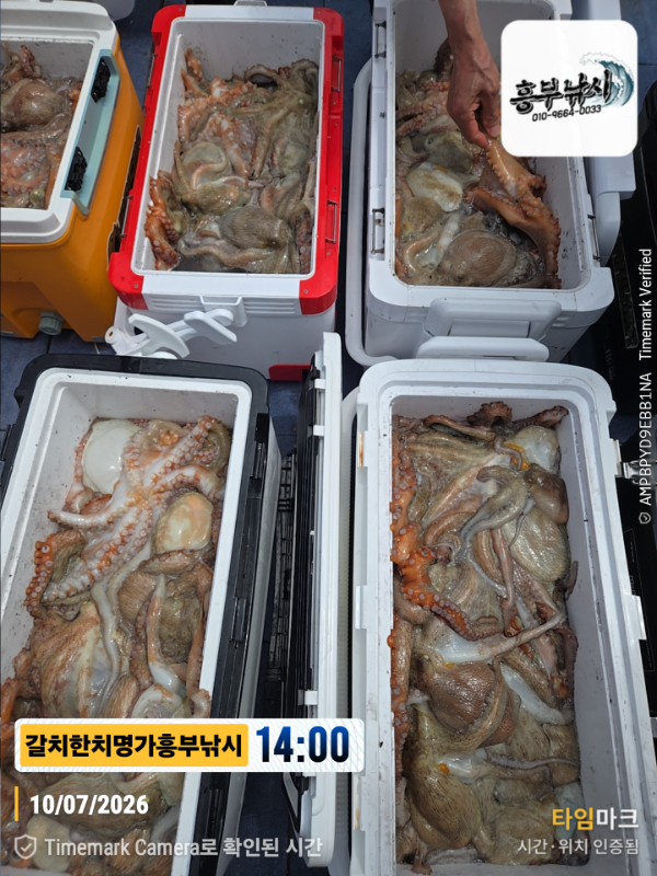 2026-07-10 14.00.33__(제목-갈치한치명가흥부낚시).jpg