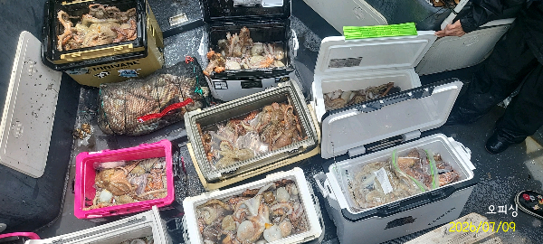 DateCamera0709112705.jpg