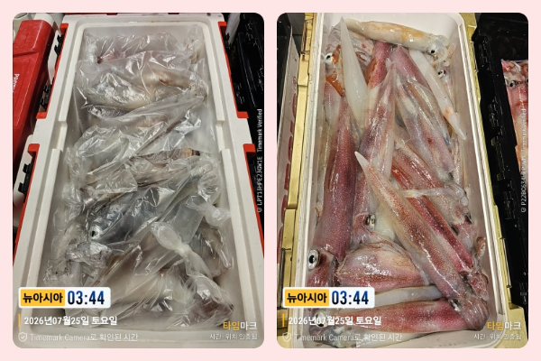 KakaoTalk_20260725_063418583_05-side.jpg