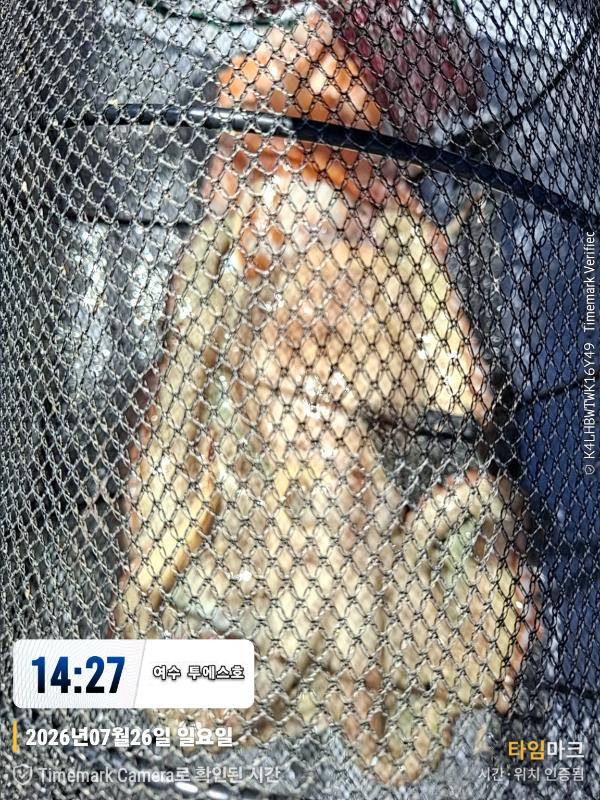 KakaoTalk_20260727_172425468.jpg