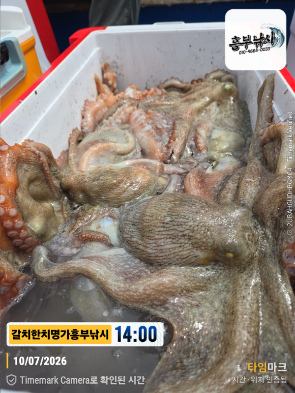 2026-07-10 14.00.20__(제목-갈치한치명가흥부낚시).jpg
