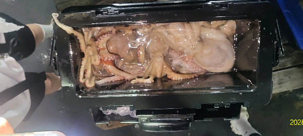 DateCamera0712231714.jpg