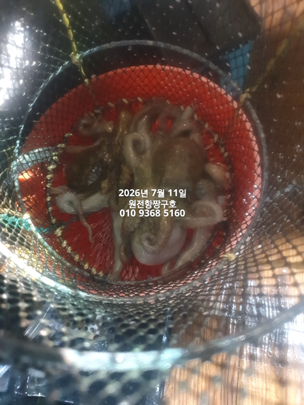 KakaoTalk_20260712_102443072_11.jpg