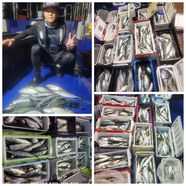 PhotoCollage_1782979976049.jpg