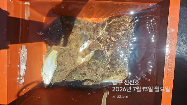 신신낚시 강구점 신신호_사진_20260713_8.jpg