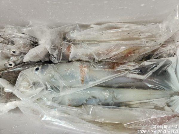 7월20일한치 (29).jpg