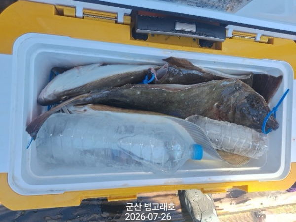 KakaoTalk_20260726_144651938_10.jpg