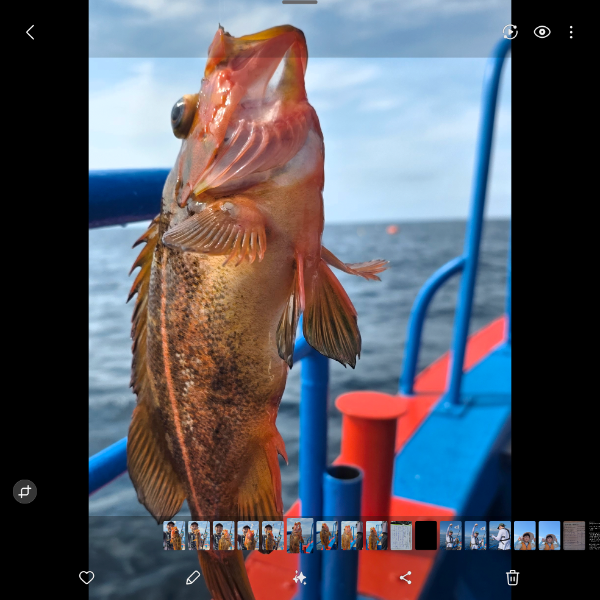 Screenshot_20250808_171927_Gallery.png