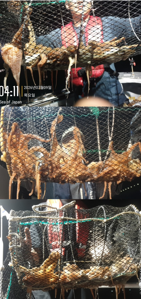 51.jpg