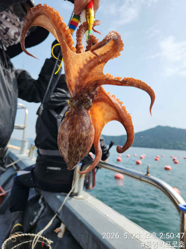 TimePhoto_20260523_145047.jpg