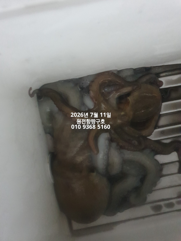 KakaoTalk_20260712_102443072_10.jpg
