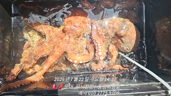 66891.jpg