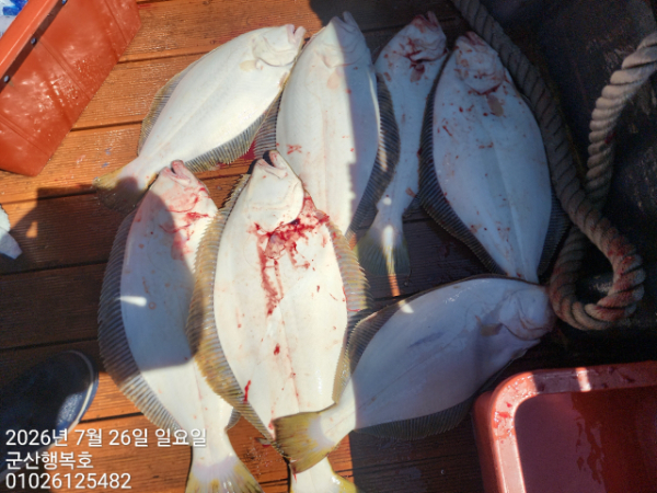 군산행복호_사진_20260726_6.jpg