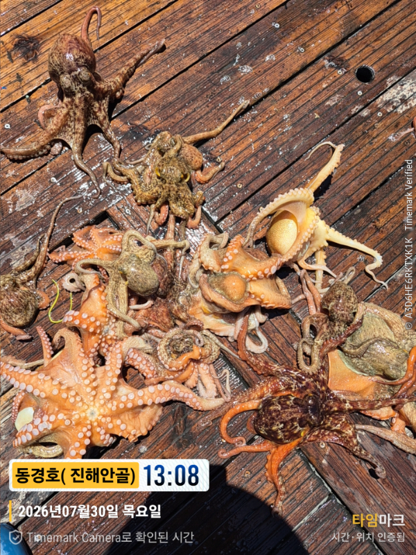 2026-07-30 13.08.52__(제목-동경호( 진해안골)).jpg
