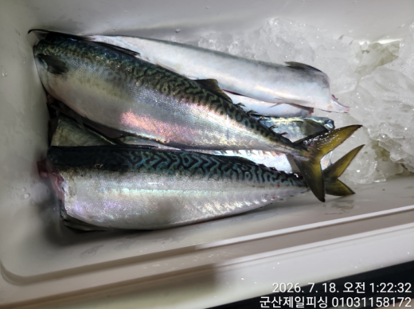 KakaoTalk_20260718_063535169_20.jpg